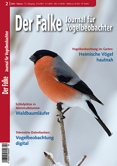 Der Falke 2/2024