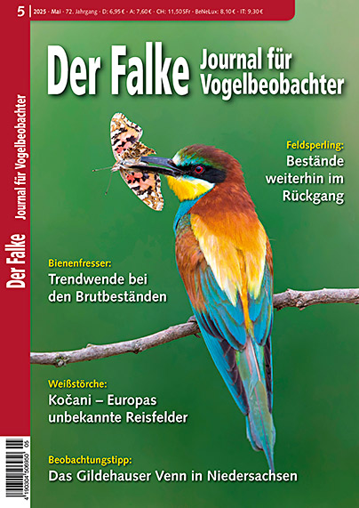 Der Falke 5/2025