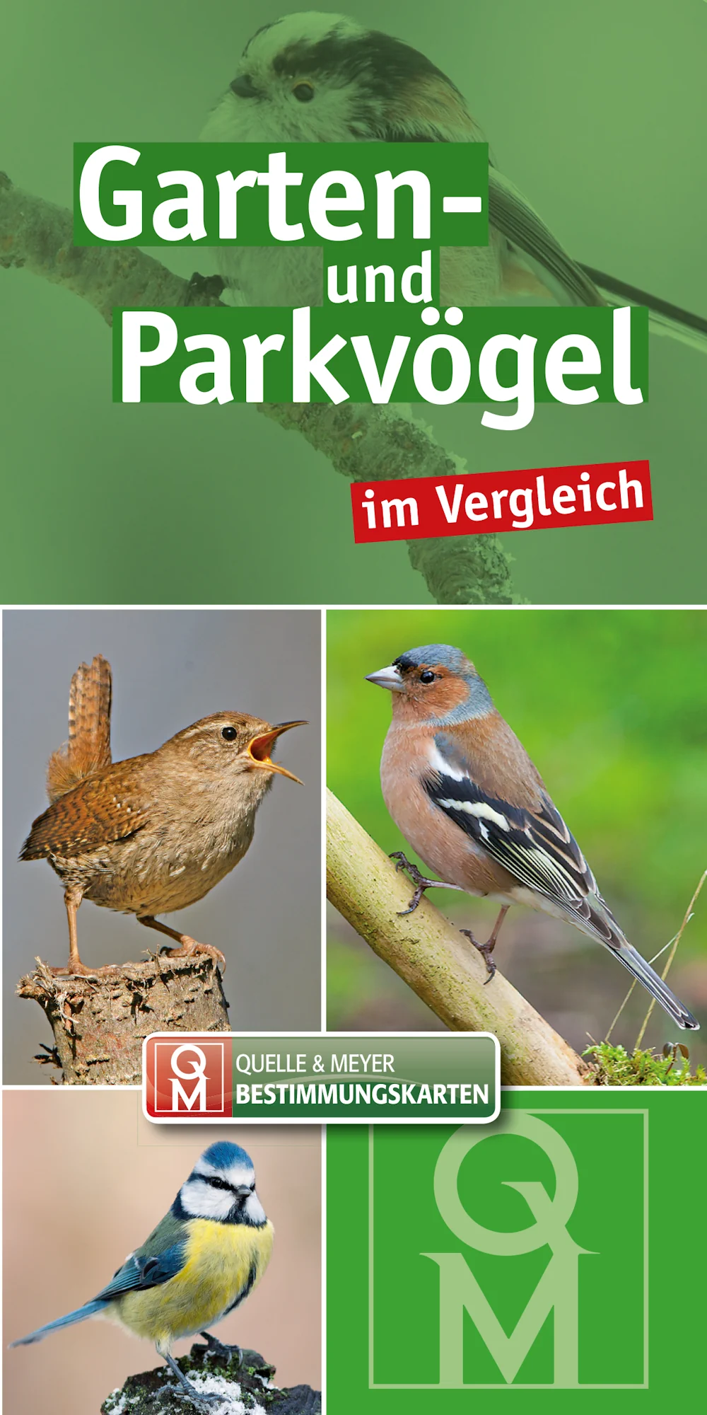 Bestimmungskarte „Garten- und Parkvögel im Vergleich“