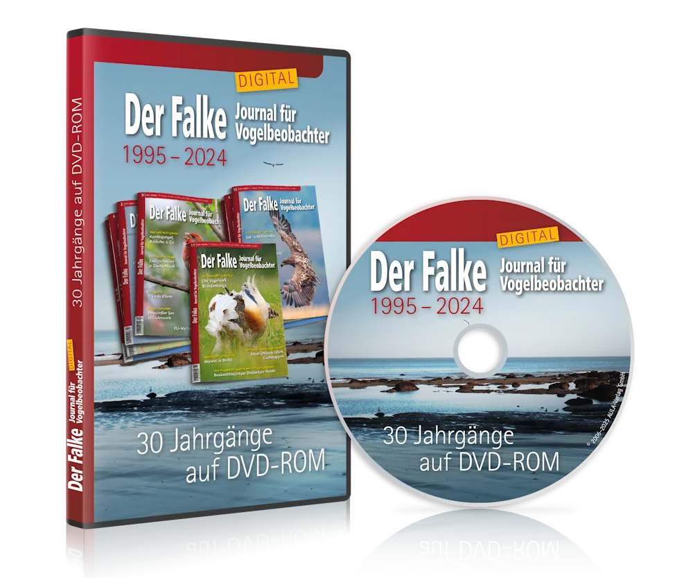 DVD-ROM „Der FALKE digital 1995 – 2024“