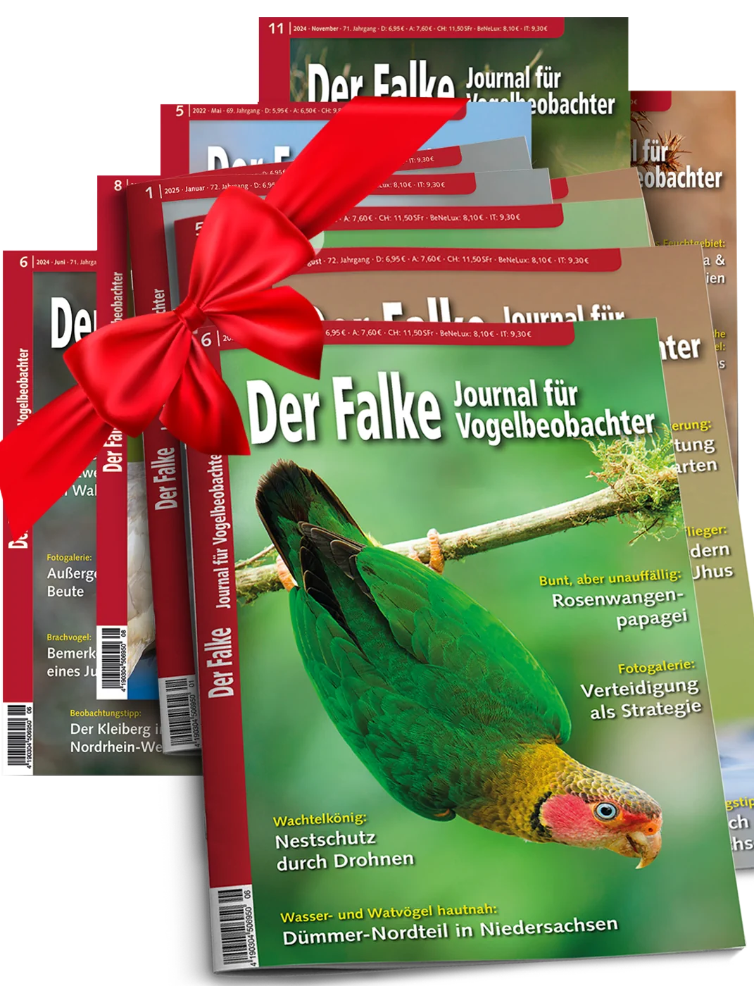 Geschenkabonnement Der Falke
