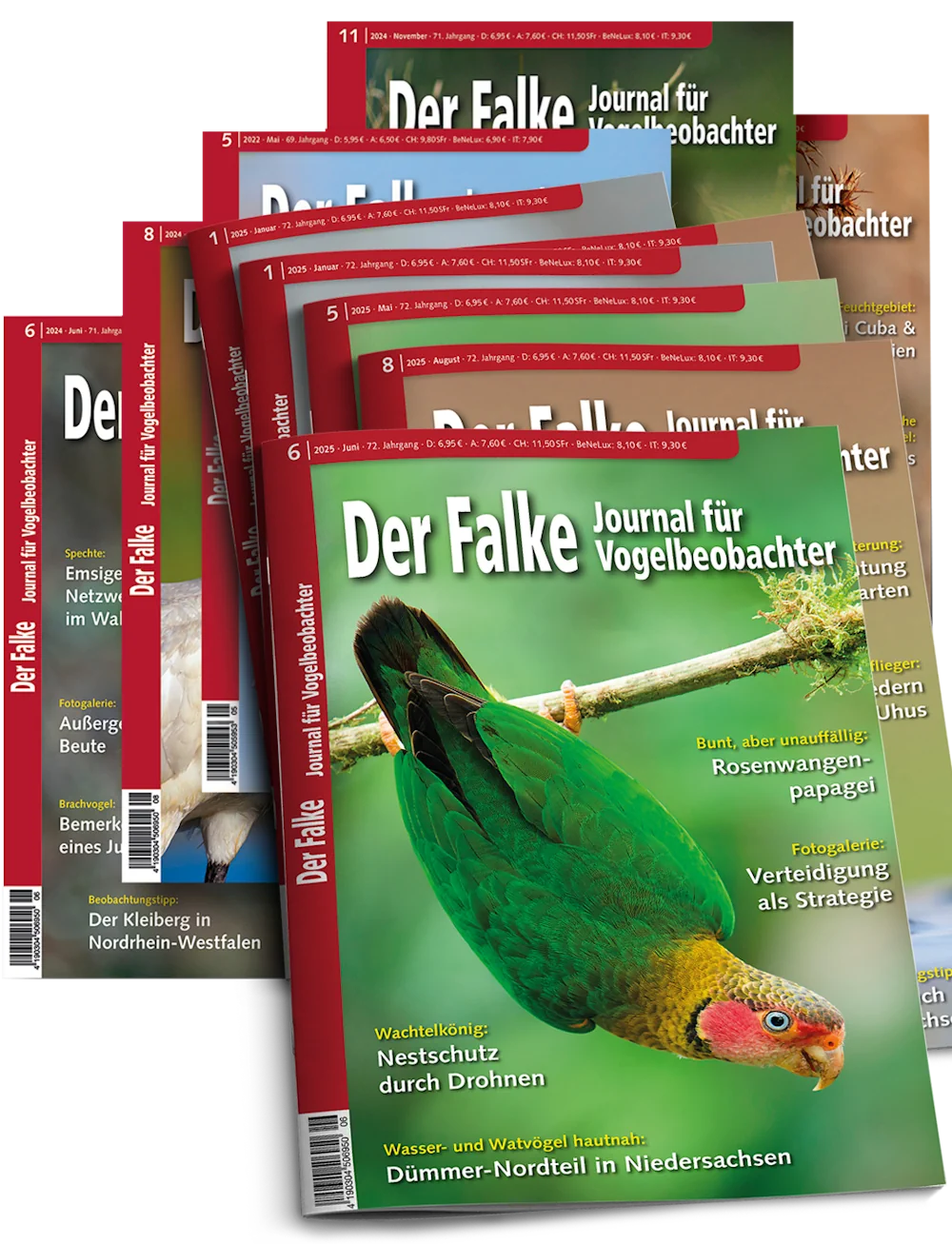 Jahresabonnement Der Falke