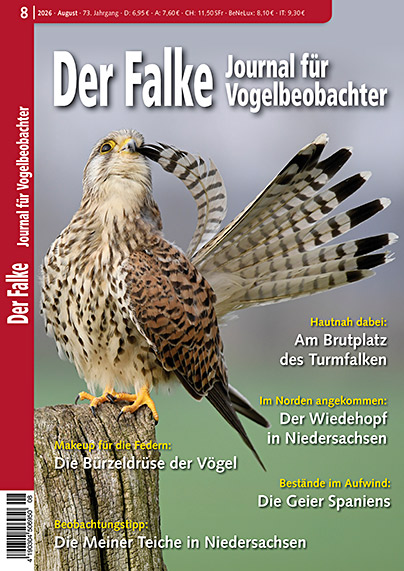 Der Falke 8/2026
